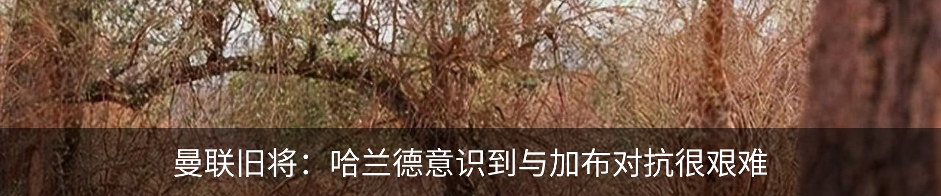 最新动态