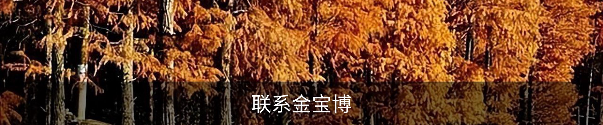 联系金宝博