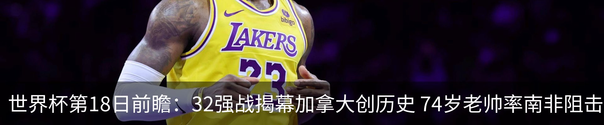 最新动态