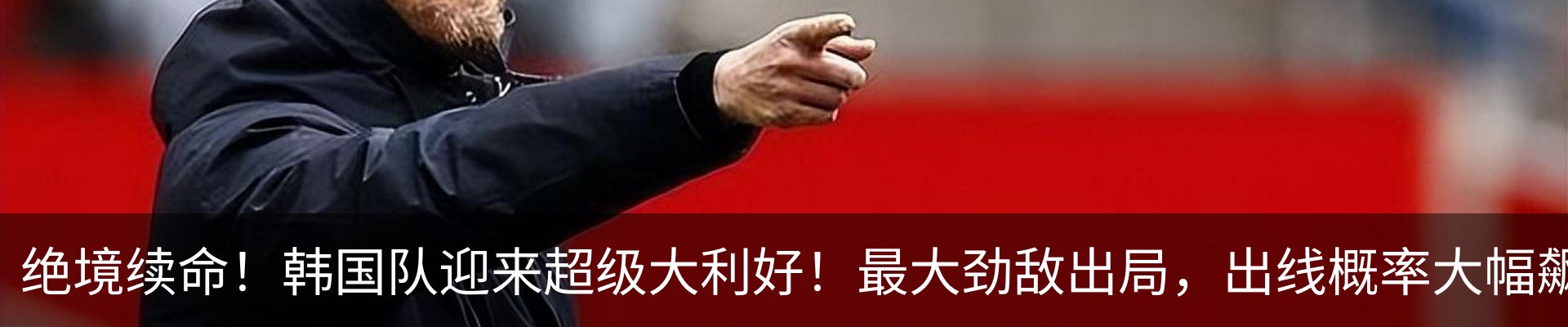 最新动态